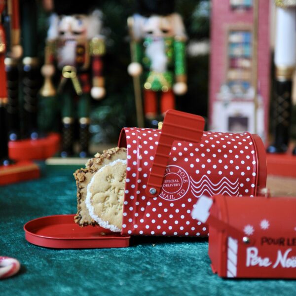 Coffret Boite aux lettres 4 Biscuits de Noël