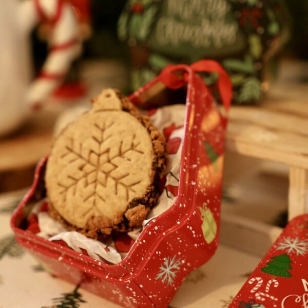 Gros plan sur un biscuit boule à motif flocon dans une boîte sapin rouge à ruban.