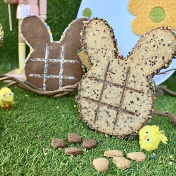 Biscuit Surprise Lapin XXL – Le jeu gourmand et surprenant ! – Image 2