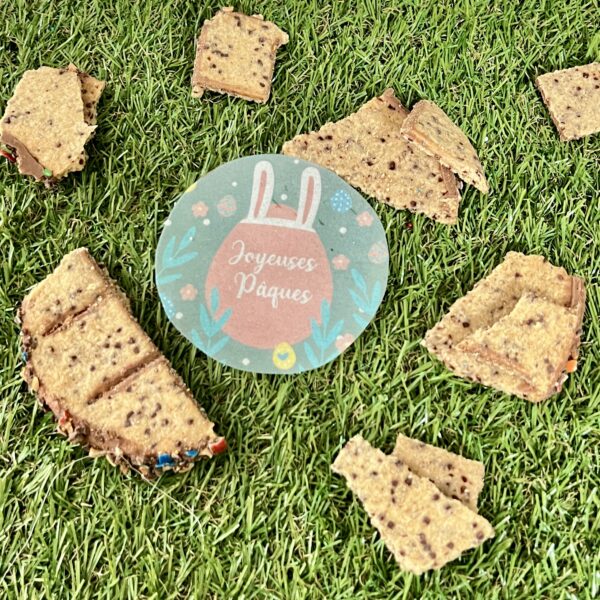 Biscuit Surprise Lapin XXL – Le jeu gourmand et surprenant ! – Image 5