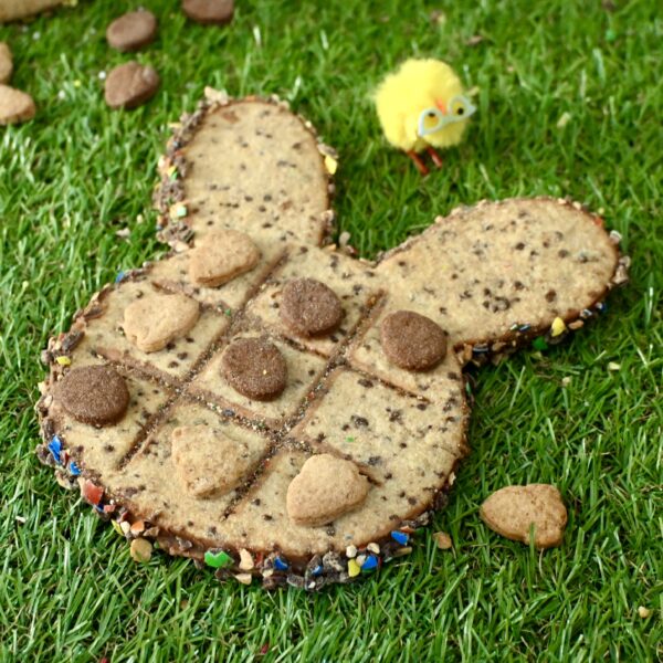 Biscuit Surprise Lapin XXL – Le jeu gourmand et surprenant !