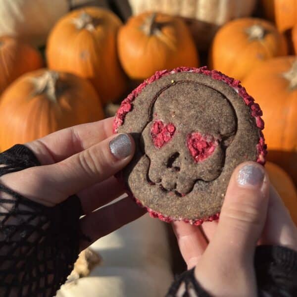 Biscuits sablés d’Halloween à message – Édition limitée